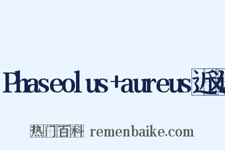 Phaseolus+aureus近义词是什么意思的图片